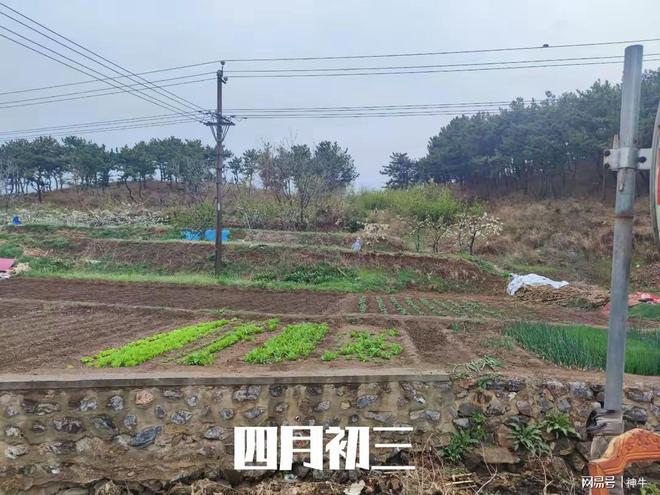 ”蛇年蛇月蛇日蛇时相聚首4件大事别忘了做pg电子模拟器免费试玩四月初三是“吉日(图2)