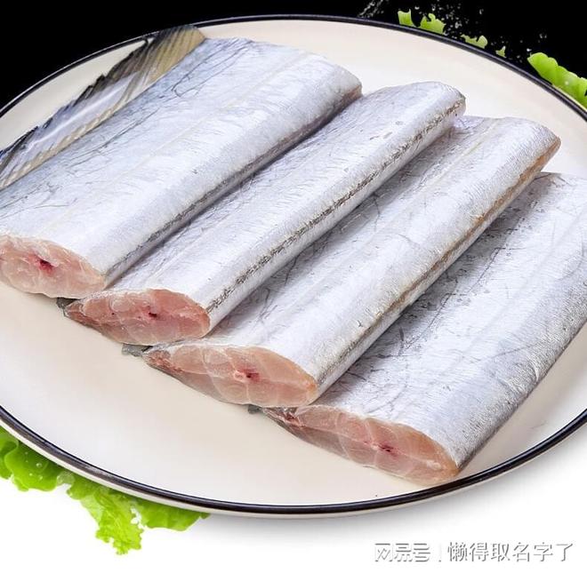 鱼品牌推荐榜单：揭秘口碑爆款与行业标杆pg模拟器电脑版深度测评2025年带(图1)